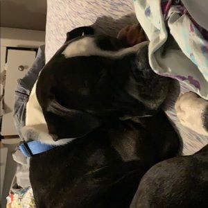 Meet your Posher, James